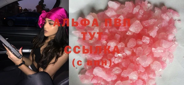 прущие грибы Алексеевка