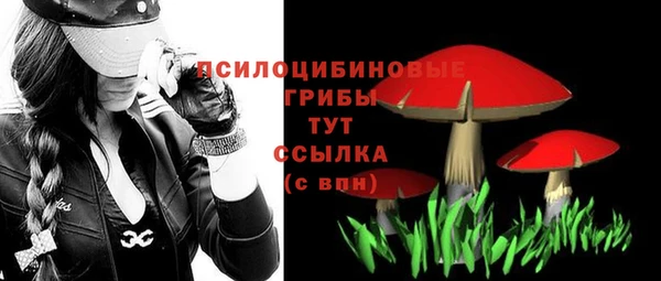 PSILOCYBIN Алексин
