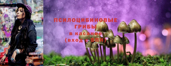 PSILOCYBIN Алексин