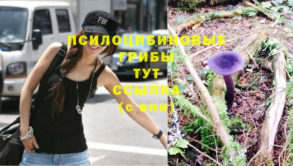 PSILOCYBIN Алексин
