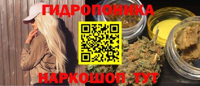 соль ск Бийск