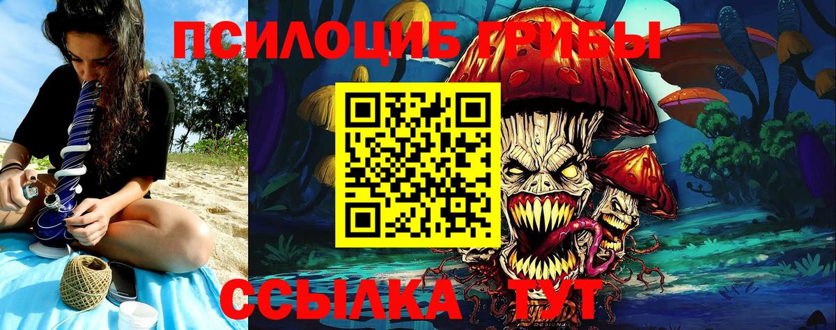 Псилоцибиновые грибы мицелий Березники